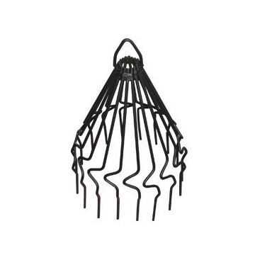 Jackdaw Decorative Birdguard