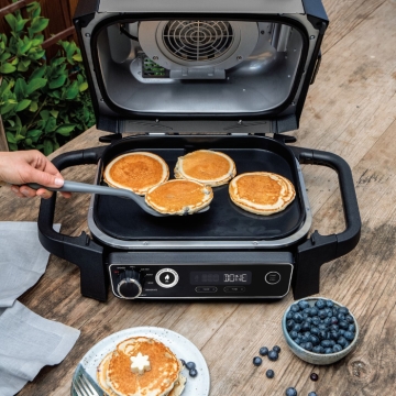 Ninja Woodfire BBQ Flat Plate