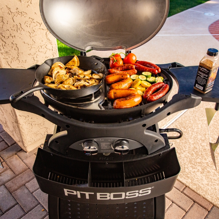 Pit boss 2 burner portable gas grill best sale
