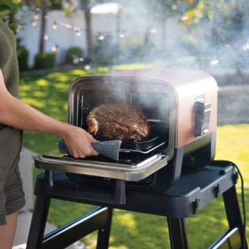 Ninja Woodfire Electric Oven