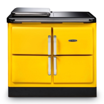 Rayburn Ranger 100-3i Sunshine Rayburn Ranger 100-3i Sunshine
