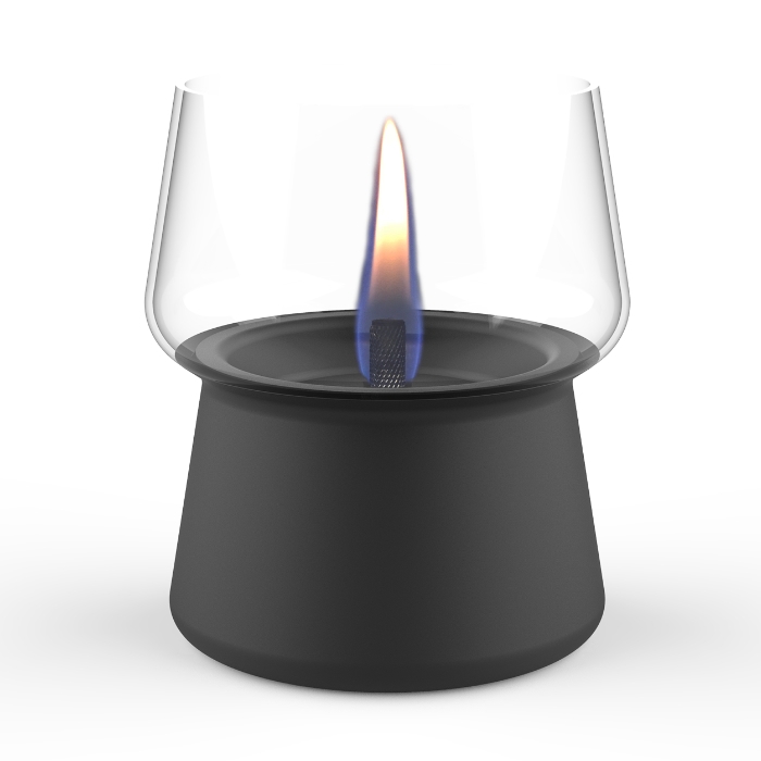 Tenderflame Amaryllis 10 Black Tenderflame Amaryllis 10 Black