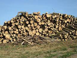 Wooden logs to burn