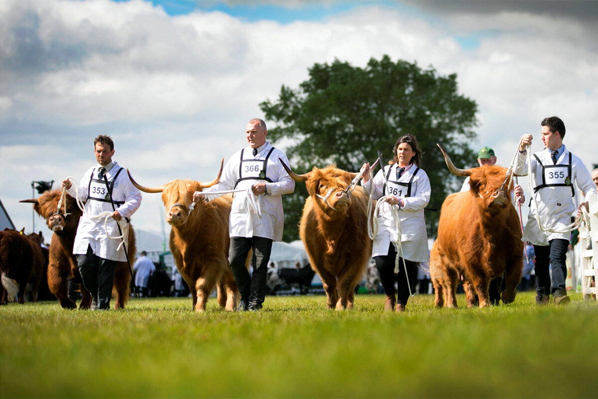 Great Yorkshire Show Intro Picture