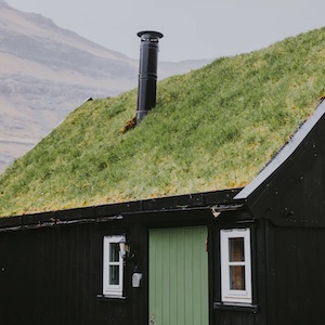 Wood Buring Stove Example