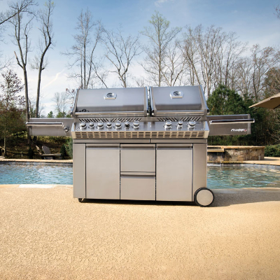 Napoleon BBQs Pizza Ovens from StovesAreUs